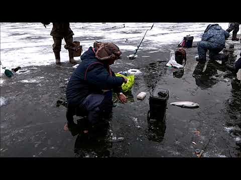 Видео: НИЖНИЙ ПРУД 24.11.18