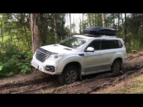 Видео: Бородино-Верея легкий внедорожный рейд с клубом 4х4 06.09.25