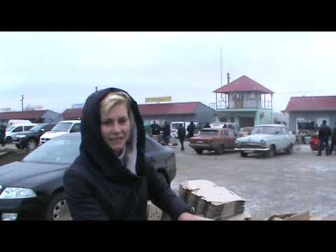 Видео: Выставка птиц  В. Копани 20.03.2021