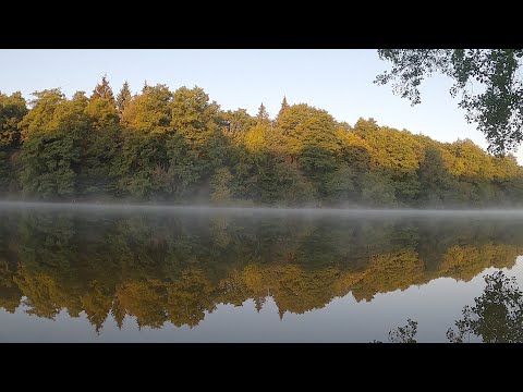 Видео: Рыбалка на р. Южный Буг.  Ловля на фидер . Оснастка  Арбуз тащит рыбалку.