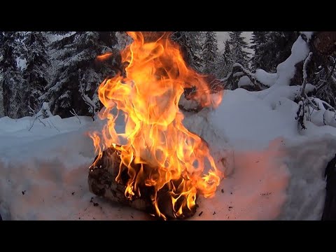 Видео: 80 дней в тайге. Пушной промысел. Видеодневник Часть 12