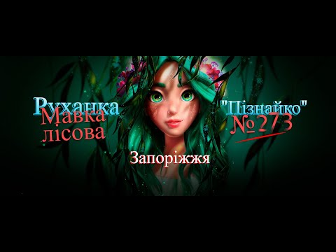 Видео: Руханка для дітей. Мавка лісова. Челендж. "Пізнайко" №273