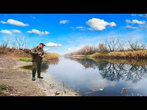 Видео: Поймал на ГИПНОЗ а потом на БОКСЁРА! Ловля окуня зимой на спиннинг!