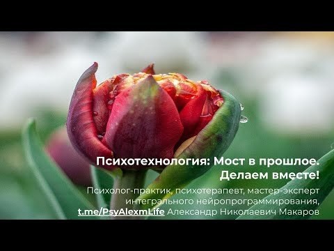 Видео: 132. Психотехнология "Мост в прошлое": делаем вместе! Для отработки травматичных событий в прошлом
