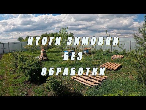 Видео: Итоги зимовки без обработки от клеща