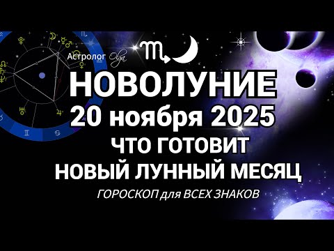 Видео: 🌙 ГОРОСКОП - ЗАДАЧИ для КАЖДОГО ЗНАКА ЗОДИАКА с 20.11 по 20.12.2025. Olga Astrology© #скорпион