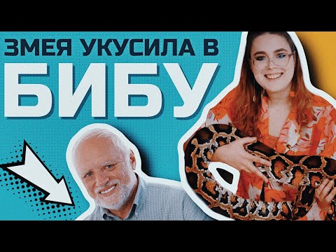 Видео: МОСКВИЧА УКУСИЛ ПАУК ЗА ГЕНИТАЛИЮ | И другие новости из мира животных