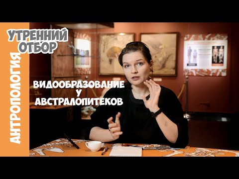 Видео: Новый взгляд на массивных австралопитеков. Елена Сударикова.