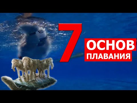 Видео: Основы плавания| Как правильно начинать учиться плавать?
