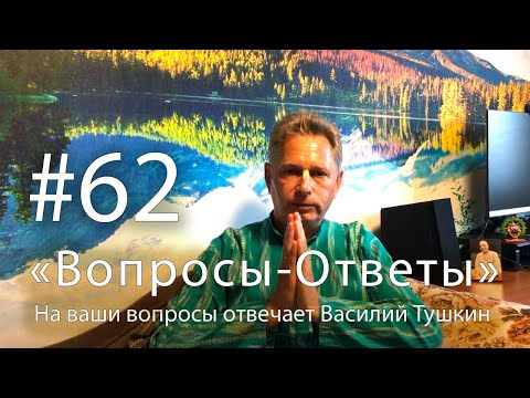 Видео: "Вопросы-Ответы", Выпуск #62 - Василий Тушкин отвечает на ваши вопросы