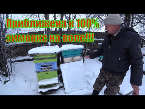 Видео: ГОТОВИМ ПЧЕЛОСЕМЬИ ДЛЯ ЗИМОВКИ НА ВОЛЕ, ВЕРХНЯЯ ВЕНТИЛЯЦИЯ УЛЬЯ, СТАВИМ ЩИТЫ И ЗАСЫПАЕМ СНЕГОМ.