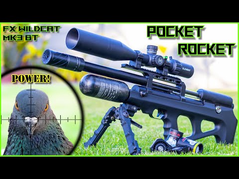 Видео: Pocket Rocked | FX Wildcat MK3 BT Compact | Пули 21 гран | Охота на голубей | Борьба с вредителям...