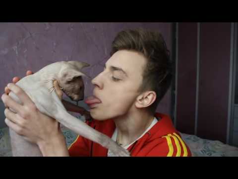 Видео: А4 | СМЕШНЫЕ НАРЕЗКИ | №1