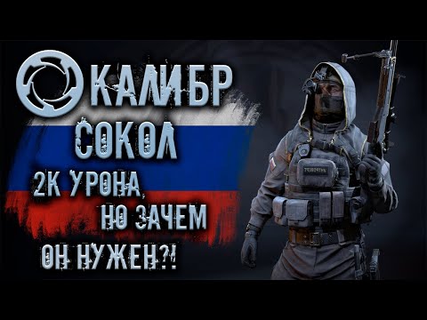 Видео: Калибр ● Сокол - 2к урона, но зачем он нужен?! ● Обзор оперативника!