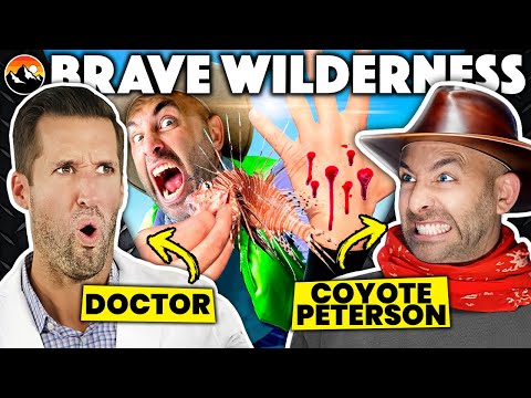 Видео: ВРАЧ и COYOTE PETERSON смотрят самые СМЕРТОНОСНЫЕ ужаливания из Brave Wilderness