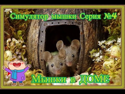 Видео: Симулятор мышки №4 - Приключения мышки в доме. Сражаемся с пауками. Победили кота. Детские игры.