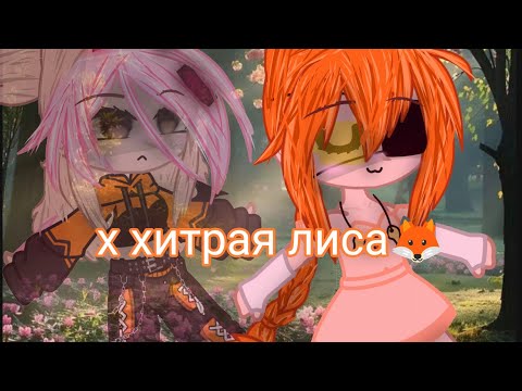 Видео: клип лиса 🦊 исполнитель Даша дошик 👉🩷🦊❤️‍🔥👌🦆