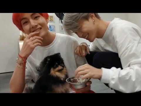 Видео: BTS Russian Crack # 13. ТОСИК ЛАПКУ ДАСТ