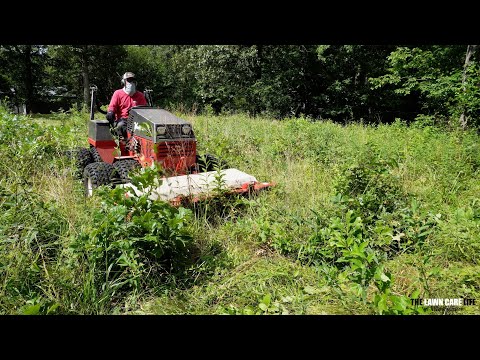 Видео: Стоило ли РИСКА КОШИТЬ этот газон? Решать вам...