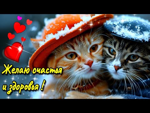 Видео: 🌞☕🍰Самого доброго осеннего  утра!🍁Благословенного дня!🌞Красивая музыкальная открытка 🍁