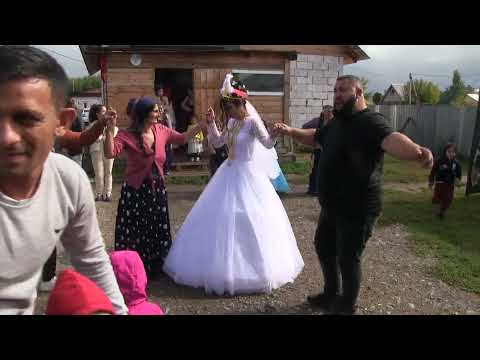Видео: Цыганская Свадьба Бибо и Нина 7 06 2023