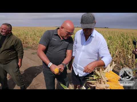 Видео: 🌽 Георги Мантарлиев: “Царицата на полето заслужава грижа и внимание” 👑