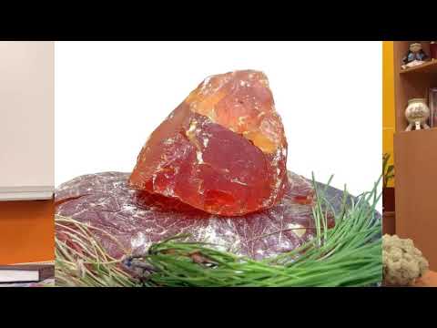 Видео: Видео-лекция Слепцова Виталия Архиповича "Технология использования дикорастущих растений"