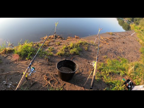 Видео: Южный Буг. Рыбалка на городском пляжу. Спартак. Донная снасть.