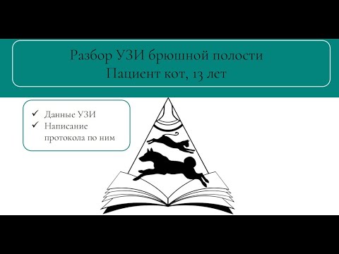 Видео: Обзорное УЗИ брюшной полости кошке | Разбор протокола и заключения | Дисплазия почки | Фиброз кишки
