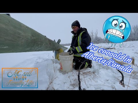 Видео: экстремальные условия в Канаде, замерзаем здесь 😉😅