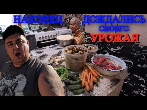 Видео: ПОЖИНАЕМ ПЛОДЫ НАШИХ ТРУДОВ / ОВОЩНОЕ РАГУ / ЗАПЕКЛИ УТКУ С КАРТОШКОЙ / БУДЕМ ПЕЧЬ ПОНЧИКИ /