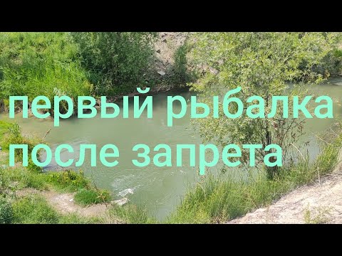 Видео: Первый рыбалка после запрета на Маринку