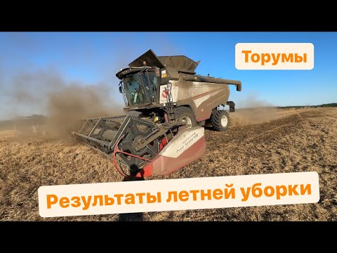 Видео: Торум 785, как прошла летняя уборка зерновых.