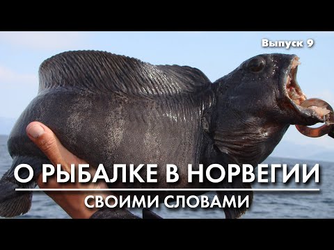Видео: Рыбалка в Норвегии. Донные оснастки