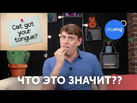 Видео: Английские идиомы VS русские пословицы || Skyeng