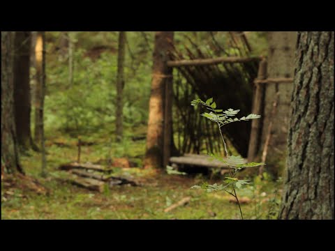 Видео: ПРОВЕЛ НОЧЬ В ШАЛАШЕ который сам же и ПОСТРОИЛ