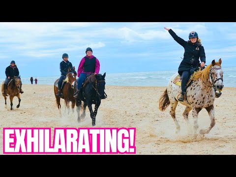 Видео: ДЖИМИНИ СТАНОВИТСЯ СЛИШКОМ ЖАРКО!!! Лошади скачут по пляжу! #Мичиган