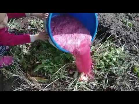 Видео: Зажигалка для компостной ямы