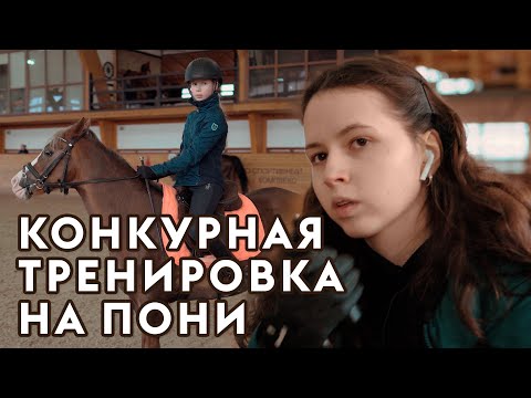 Видео: Конкурная тренировка на пони. Тренер Алиса Олейник