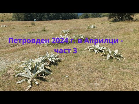 Видео: Петровден 2024г. в Априлци - част 3.