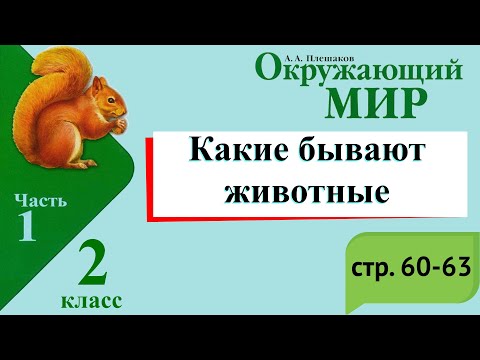 Видео: Какие бывают животные. Окружающий мир. 2 класс, 1 часть. Учебник А. Плешаков стр. 60-63
