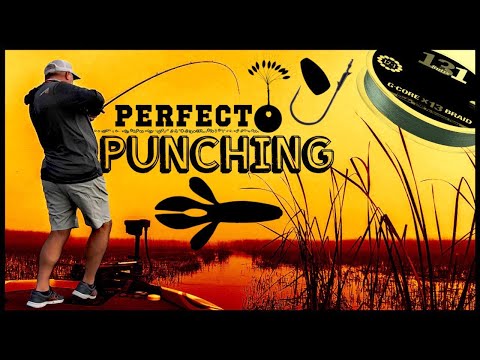 Видео: Усовершенствованная система ударов Рэндалла Тарпа для баса