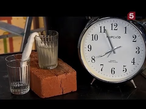 Видео: Как очистить воду: "Проще простого!"