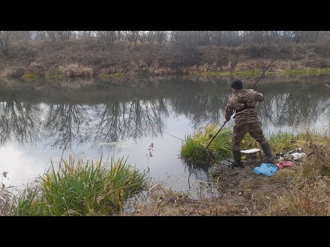 Видео: РЫБАЛКА на Поплавок! Плотва и Ельцы на КРЮЧКЕ.Рыбалка на поплавочную УДОЧКУ!