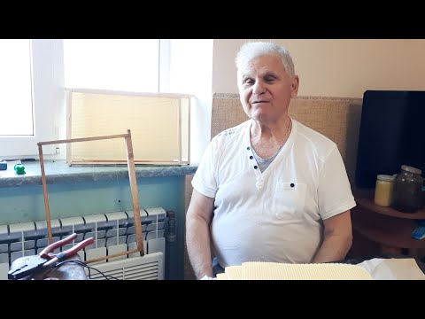 Видео: Мёд с белой акации