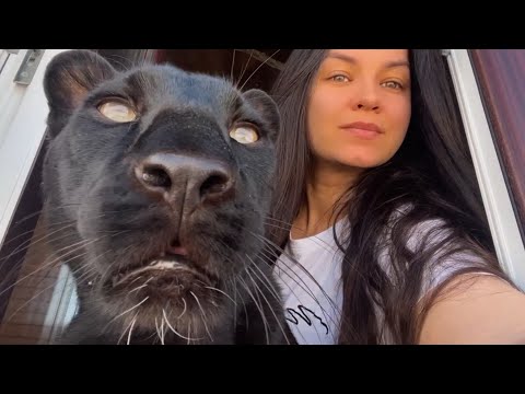 Видео: Воскресенье с зоосемьей 😂🐾❤️