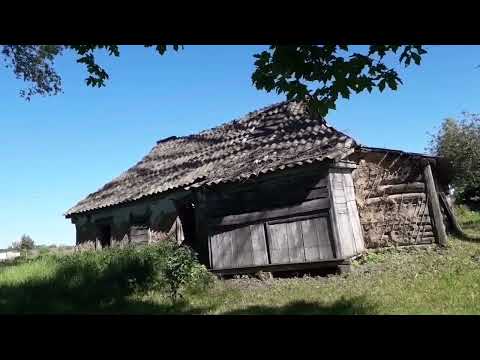 Видео: Жизнь в деревне. Начали строить дорогу.