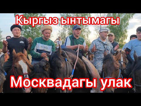 Видео: Кыргыз ынтымагы кучой берсин