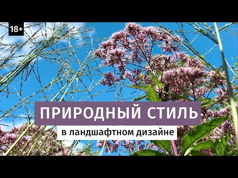 Видео: Природный или пейзажный стиль. Ландшафтный дизайн.