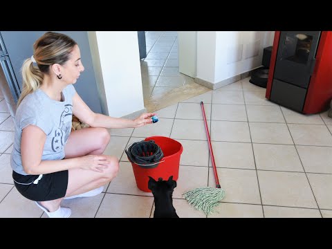 Видео: С помощью этого трюка вы можете есть на полу! Никогда не видел такой чистой!